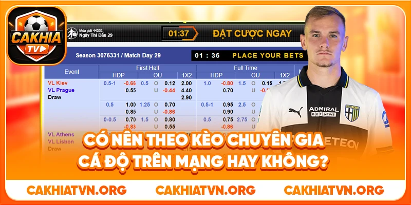 Có Nên Theo Kèo Chuyên Gia Cá Độ Trên Mạng Hay Không?
